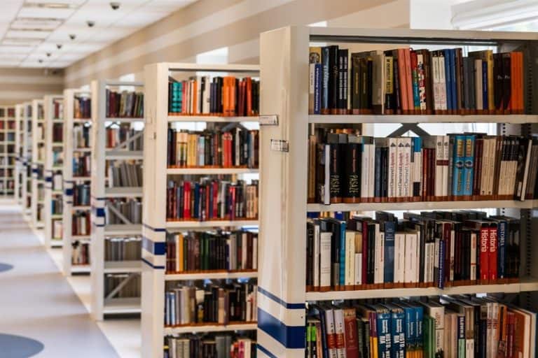 How To Become A Successful Book Review Blog Ellen Blogs