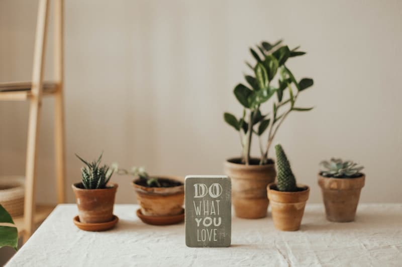 plants and a sign that says do what you love